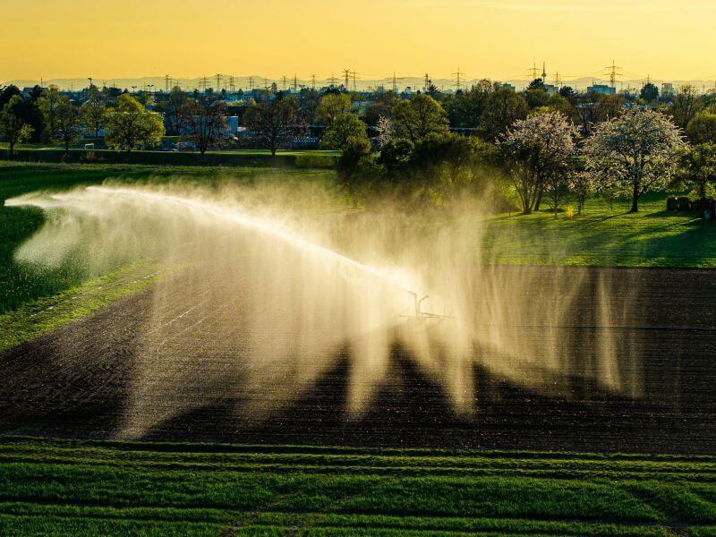 Greywater Reuse Agriculture Irrigation